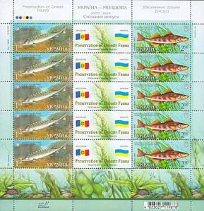 Украина _, 2007, Пресноводные рыбы, Днестр, Осетр, лист